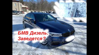 BMW 530d XDrive M Sport. Мороз -30. Заведется?