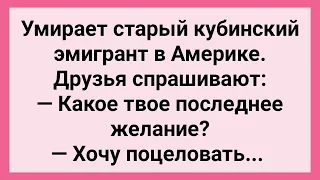 Что Хотел Поцеловать Старый Кубинский Эмигрант! Сборник Свежих Смешных Жизненных Анекдотов!