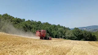 trebbiatura orzo con 2450 azienda agriter di migliorati alla guida giovanni brunori