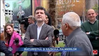 Stirile Kanal D (16.05.2023) - Bucurestiul si razboiul palmierilor | Editie de dimineata