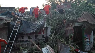 Cyclone Fani kills dozens in India, Bangladesh