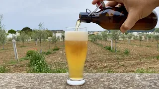 GRUIT BEER homemade 🍺  How to make Beer WITHOUT Hops but with ...