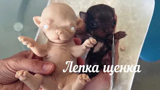 Лепка щенка чихуахуа/скоро в силиконе/ #siliconepuppy #силиконоваякукла