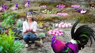 Harvesting Chicken Eggs goes to market sell - Grow onions in bamboo tubes | Tiểu Vân Daily Life