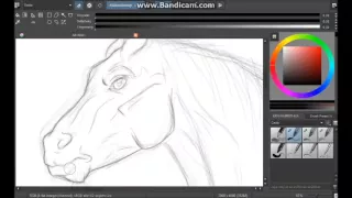 Timelapse | Free Horse Lineart