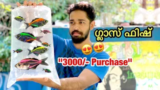 💥3000/- രൂപയുടെ എന്റെ പുതിയ മീനുകൾ | I bought new set of fishes | 3000/- Rs purchase