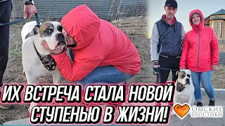 Их встреча стала новой ступенью в жизни! | Тайгер