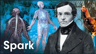 How Brutal Scientists Experimented With Human Hormones | Biology Documentary | Spark