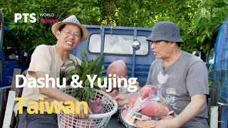The Taste of Midsummer - Pineapples and mangoes - Slow Travel Adventures in Taiwan | 浩克慢遊