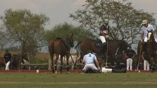 Prince Harry saves injured polo player in dramatic rescue