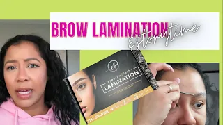 Laminating My BROWS|Chit Chat/Storytime