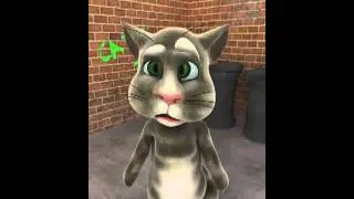 Talking Tom 3d