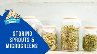 STORING YOUR SPROUTS AND MICROGREENS Episode #10