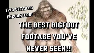 Sasquatch Video Compilation with Added Eyewitness commentary. #bigfoot #Sasquatch #bigfootwitness