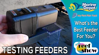 What's the Best Auto Fish Feeder for You?