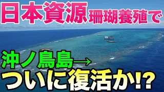 【 海外の反応】沖ノ鳥島が復活！「サンゴ増殖プロジェクト」に世界が震える！