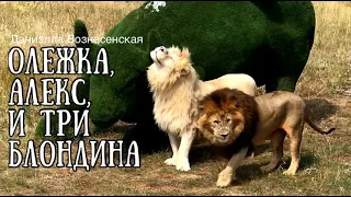 ❤️АЛИ (Олежка) отражает атаку!!! АЛЕКС,КАЙ,ЧИП и ДЕЙЛ. Life of lions.Taigan.