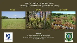 Birds Of Fields, Forests & Shrublands - Encouraging Wildlife Diversity via Habitat Diversity