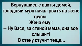 Муж Вернулся с Вахты и Жену Хочет! Сборник Свежих Анекдотов! Юмор!