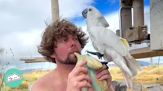 Cockatoo Never Learned To Fly. So This Couple Showed Her The World | Cuddle Buddies