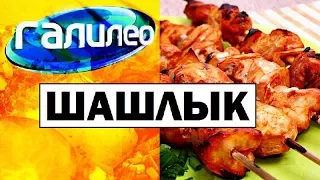 Галилео. Шашлык 🍖 Shashlik