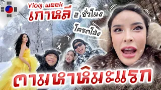 Vlogweek ที่เกาหลีตามหาหิมะยาวๆ2ชั่วโมงแบบกังนัมสไตล์ด้วย pico laser