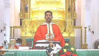 Third Tredicina of St Anthony - 3 June 6:45 AM - Fr Bolmax Pereira