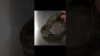 Змея поедает сама себя.