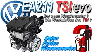 EA211 TSI evo | Der neue Wundermotor von Volkswagen und die Ablöse des TDI?