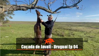 Caçada de javali - Uruguai Ep 04