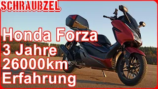 HONDA FORZA Youtuber zeigt dir seine Maschine 🛵 oder was du vor dem Kauf wissen solltest ❕❕❕