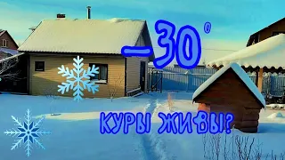 Утепление курятника, часть 3  Завершающая