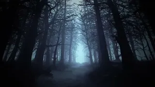 Walking Through A Dark Forest (Spooky Ambient Music)