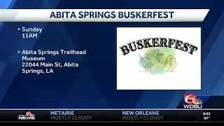 Abita Springs Buskerfest