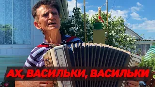 ВАСИЛИЙ НЕСТЕРЕНКО - АХ, ВАСИЛЬКИ, ВАСИЛЬКИ / ЗАДОРНАЯ ПЕСНЯ ПОД БАЯН