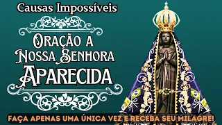 🌟Ao vivo - "🙏 Poderosa Oração a Nossa Senhora Aparecida - Solução para Causas Impossíveis 🌟"