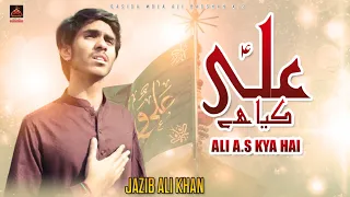 Ali Kiya Hai - Jazib Ali Khan - 2022 | Qasida Mola Ali As