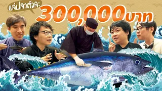 แล่ปลาบลูฟินตัวละ 300,000 บาท