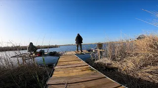 ЭТО ПРОСТО КАЙФ , САЗАНЫ ПРУТ как ПАРОВОЗ ! РЫБАЛКА на ДОНКУ и НА ПОПЛАВОК !