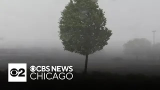 Storm leaves trail of damage around Chicago area