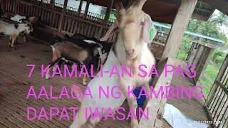 7 KAMALI-AN SA PAG AALAGA NG KAMBING, DAPAT AY IWASAN #goatfarming #kambing #backyardfarming