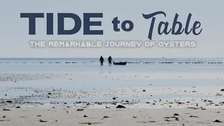 Tide to Table: The Remarkable Journey of Oysters | Pace Docs 2022