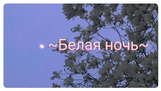 ~Белая ночь (Remix)~Алина Селях~