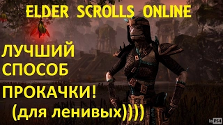 The Elder Scrolls Online #118 - Лучший способ прокачки персонажа для ленивых))