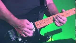 DAVID GILMOUR ECHOES(GUITAR SOLO LIVE IN GDANSK)