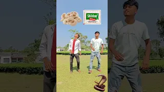 Testy Fruits vs insects eating game for two brothers vfx funny magical video