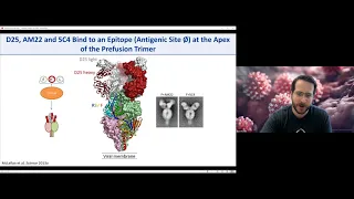 Jason McLellan: "Structure-based Design of Vaccine Antigens for SARS-CoV-2"