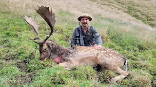 Fallow Buck Hunt Australia