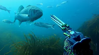 Top 10 Spearfishing Moments 2021