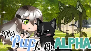 My Pup Is An Alpha! | Ep. 1 | GLS | Gacha Life Series  {COLLAB}